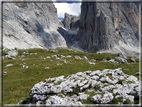 foto Pale di San Martino